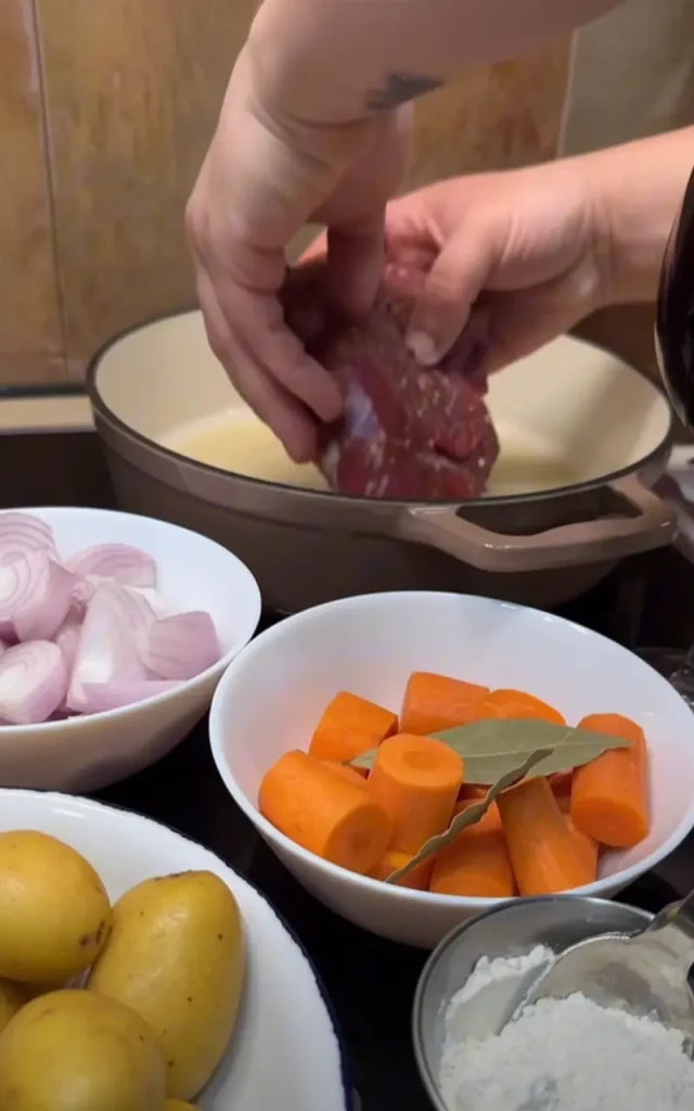 Ingredients for slow braised beef with vegetables