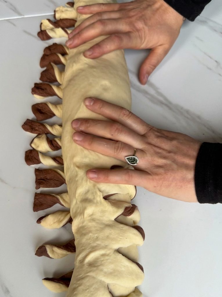 Shaped chocolate roll bread log in baking mold before rising